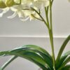 Artificial White Orchid in Glass Vase