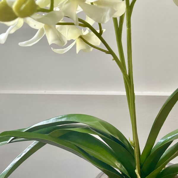 Artificial White Orchid in Glass Vase
