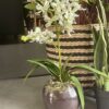 Artificial White Orchid in Glass Vase