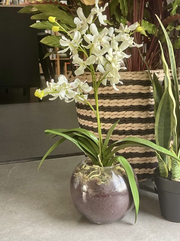 Artificial White Orchid in Glass Vase