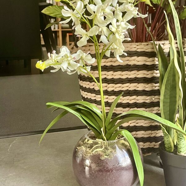 Artificial White Orchid in Glass Vase