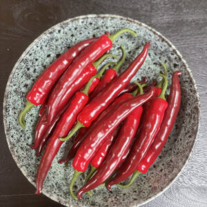 Large Artificial Red Chilli Pepper