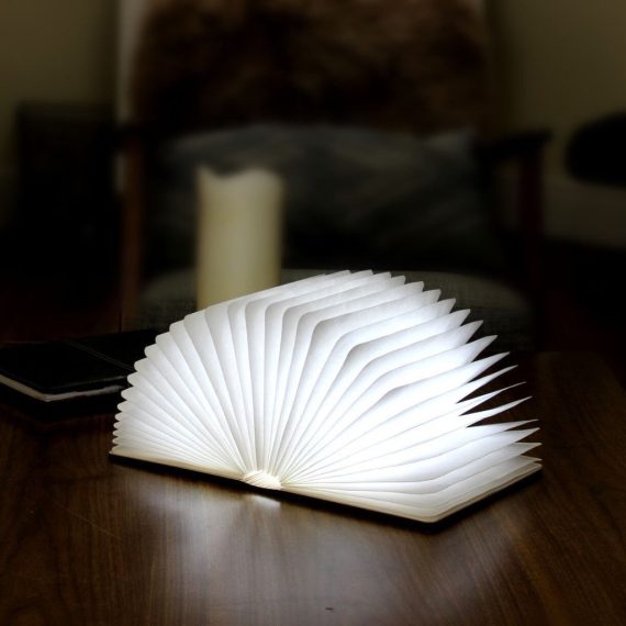 Maple Mini LED Smart Book Light